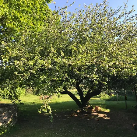 Holiday home La Bleue *